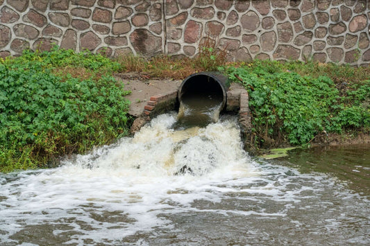 Baltimore Wastewater Treatment