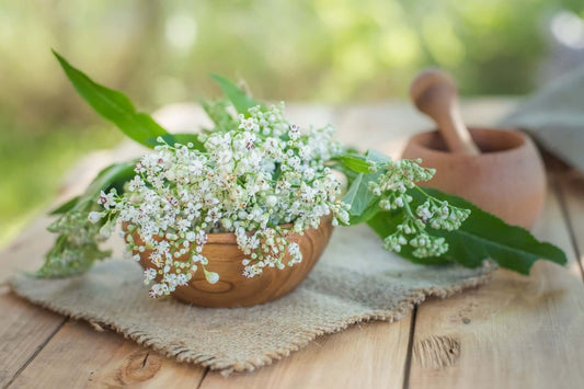 Outdoor Aromatic Therapy