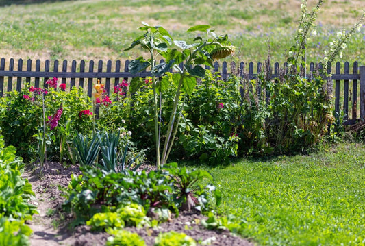 Colonial Garden Design