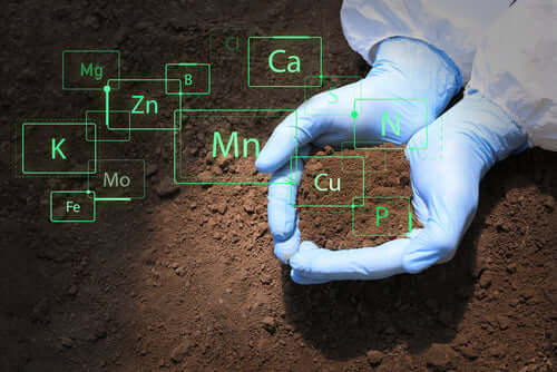 Understanding Soil Health