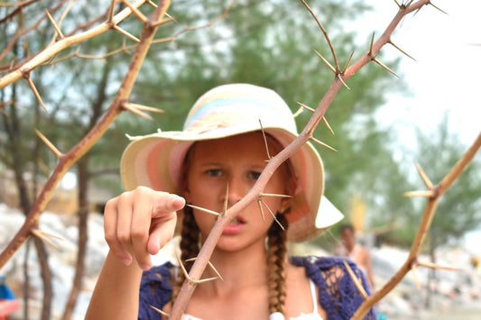 Do Plants Feel Pain? The Science Behind Plant Perception