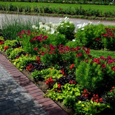 Perfect Flower Bed For Gardening
