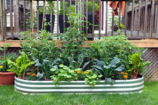 Container Gardening