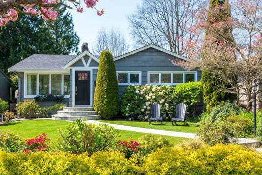 landscaping bushes for front of house