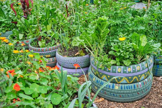 Revitalizing Urban Lots