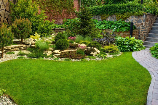 Ornamental Trees for Landscaping: Enhancing Beauty and Functionality