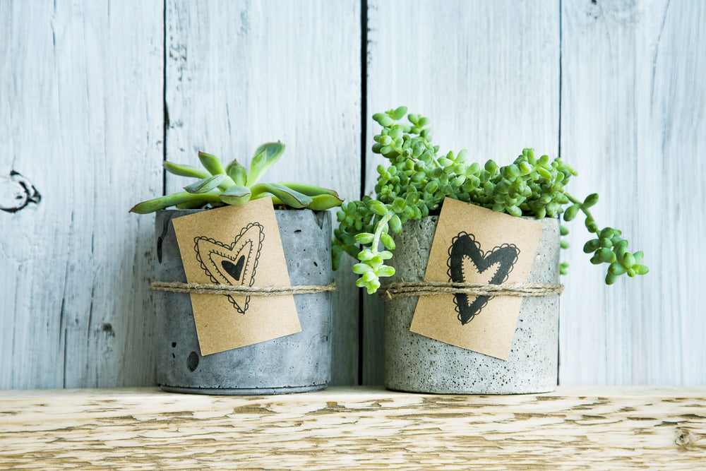 The Ultimate Gift Giving Guide
