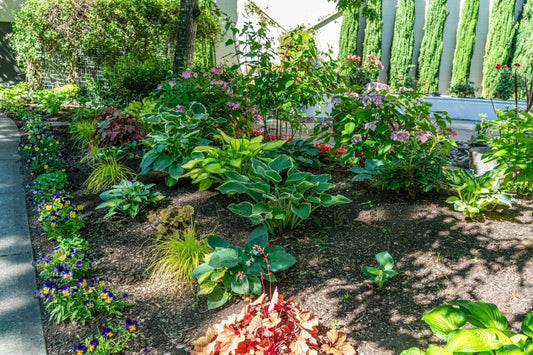 Gardens for Wellbeing