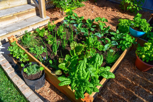 Square Foot Gardening For Small Spaces