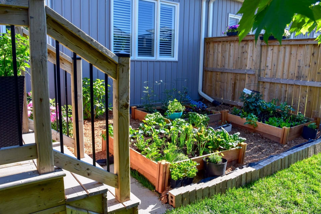 Maximize Your Garden with Square Foot Gardening