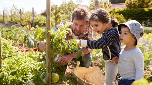 How Your Family Can Grow And Succeed From Gardening - Tree Nursery Co