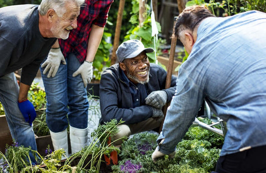 The Therapeutic Benefits of Gardening
