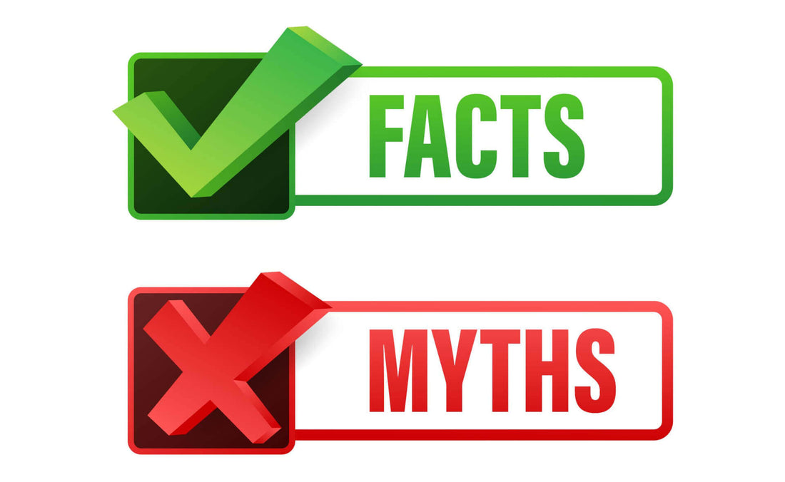 Common Misconceptions about Fall Planting