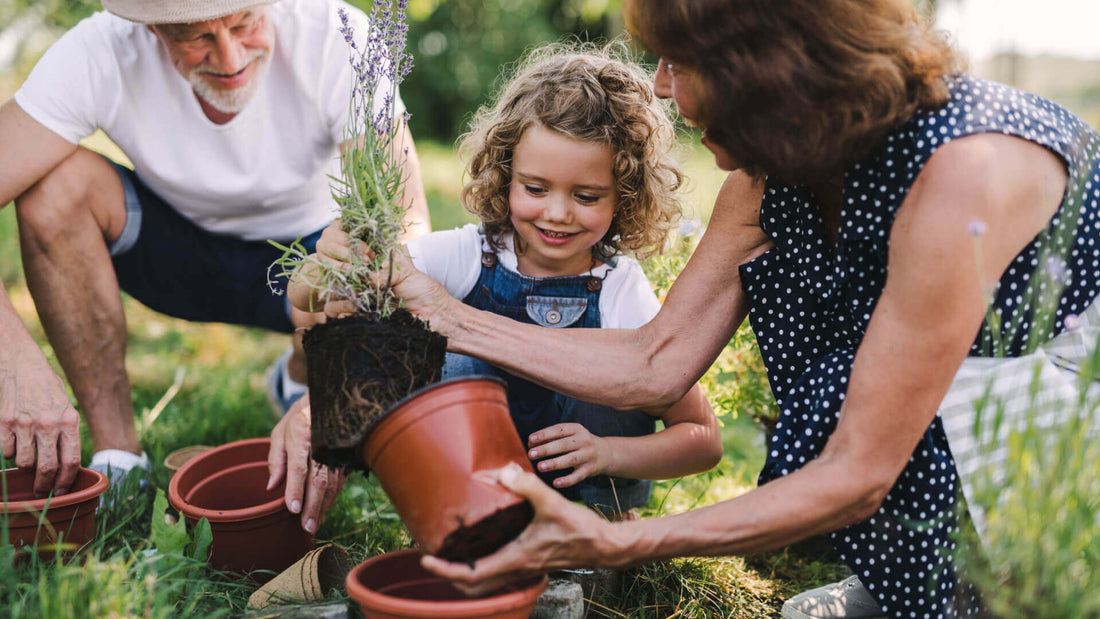 The Guide to Spending Time With Family by Gardening - Tree Nursery Co