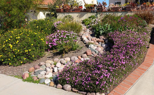 Sustainable Landscaping: Creating a Thriving Ecosystem - Tree Nursery Co