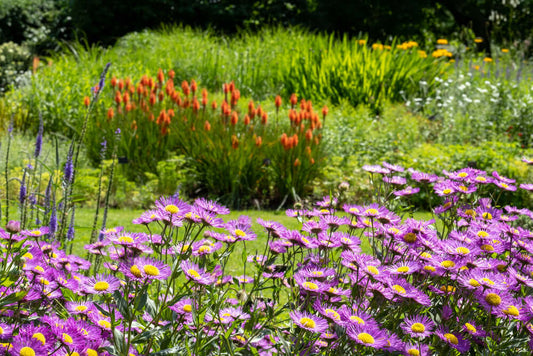 A No-Dig Approach to Healthy Soil