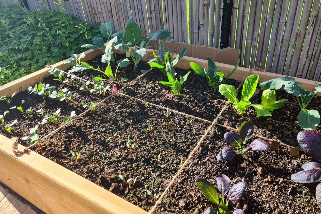 Healthier Soil, Less Work