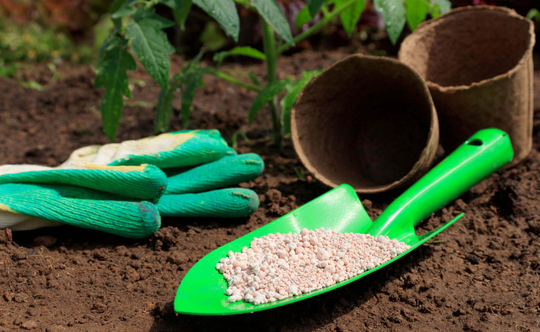 When and How to Fertilize Your Plants for Success - Tree Nursery Co