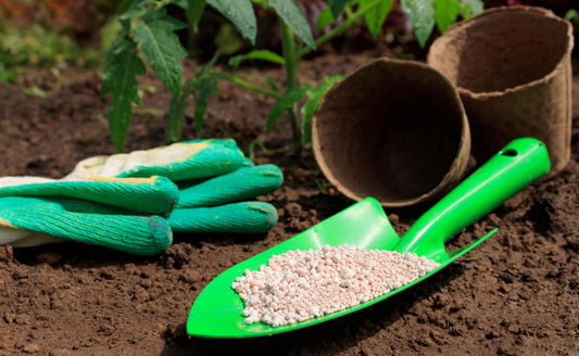 When and How to Fertilize Your Plants for Success - Tree Nursery Co