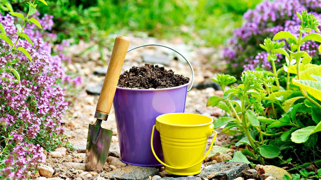 Soil Testing and Soil Improvement - Tree Nursery Co