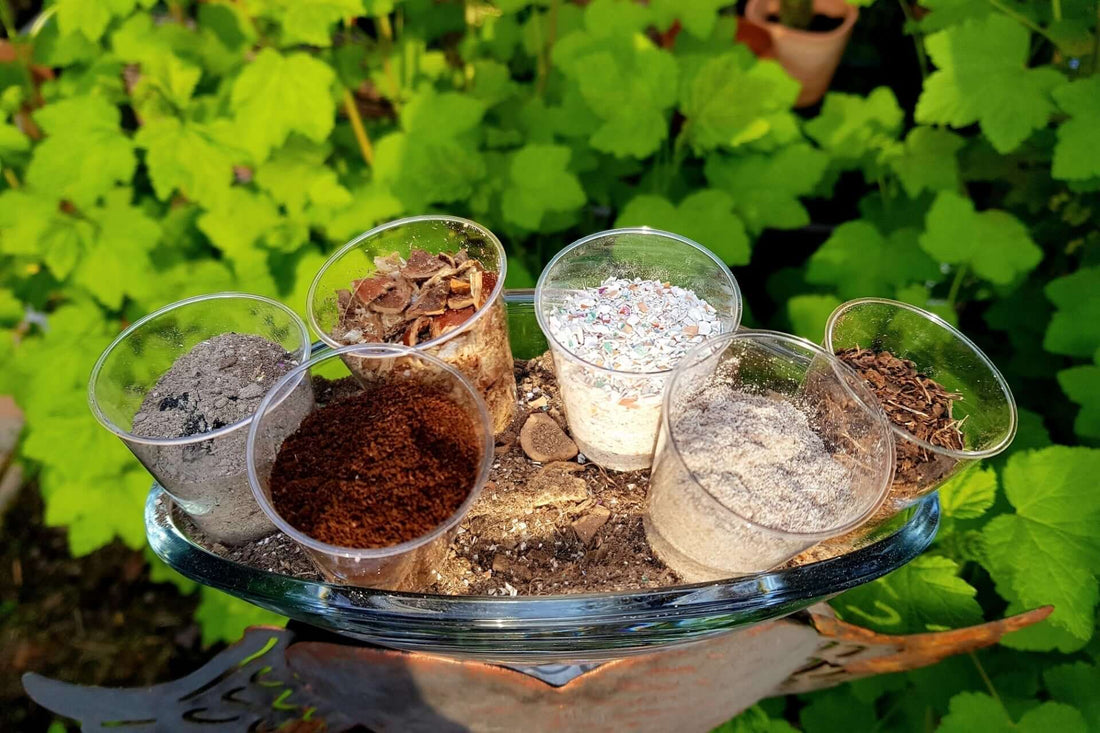 Biodynamic Gardening