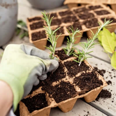 A Soil Booster for Healthy Gardens