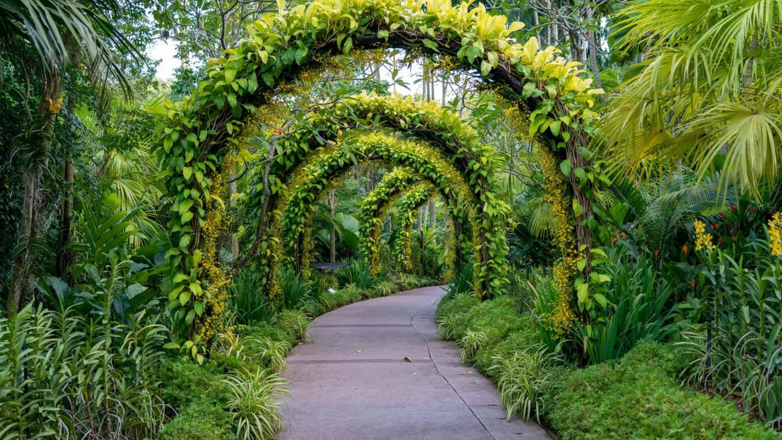 How to Make an Exotic Garden Entrance - Tree Nursery Co