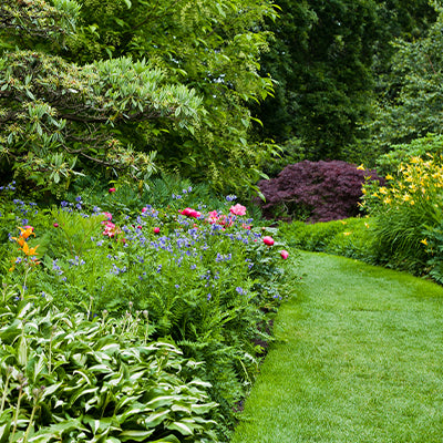 Creating a Beautiful Garden: Tips and Tricks for Successful Planting