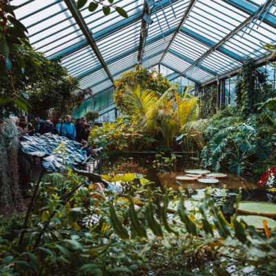 What Are the Different Planting Zones