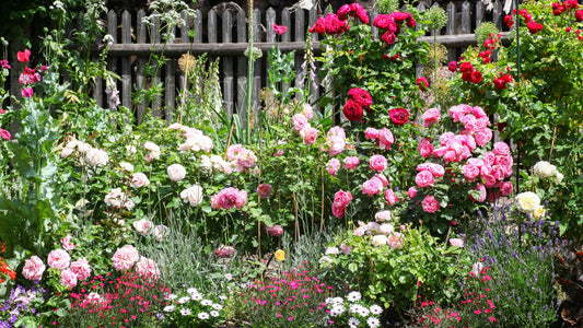 Cottage Garden