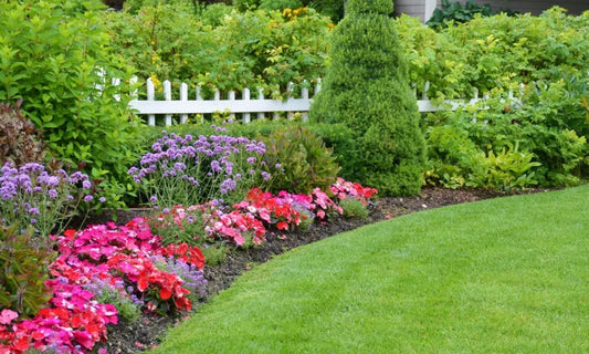 deer resistant perennials
