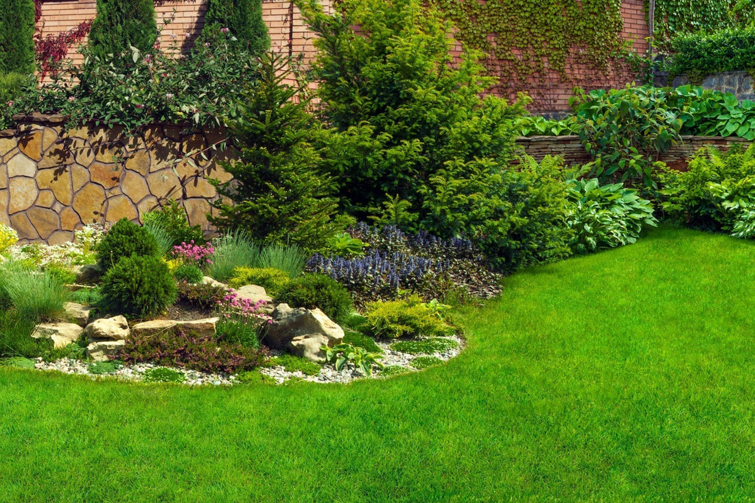 Landscape Upgrades With No Annual Costs
