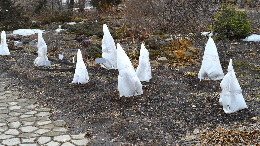 Safe Gardening Methods