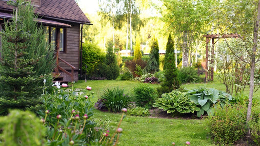 Native Plants in Sustainable Gardening