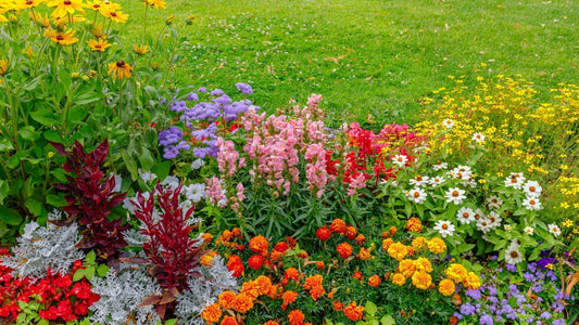 flowers