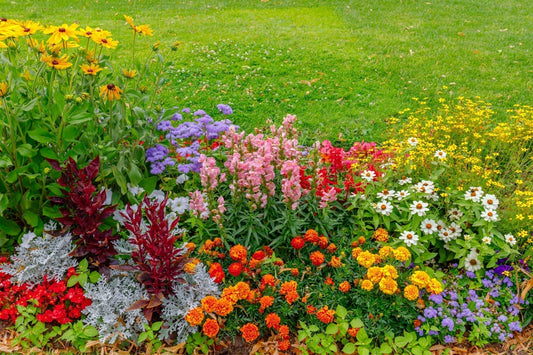Colorful Garden Ideas for Every Season