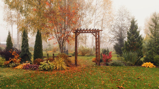 Fall Garden