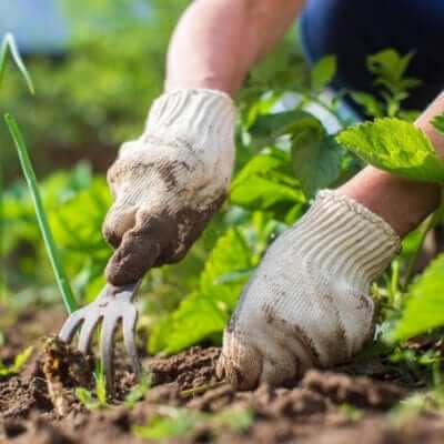 From Complaint to Happy Customer: How TN Nursery Turns Challenges into 5-Star Experiences Tennessee Wholesale Nursery