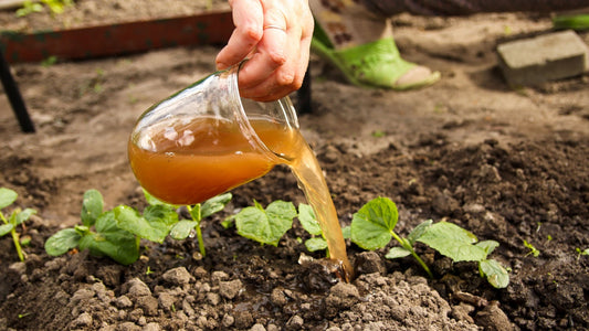 Fertilizer
