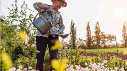 Joys of Gardening