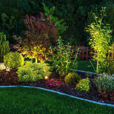 Landscape With Trees While Adding Value To Your Home