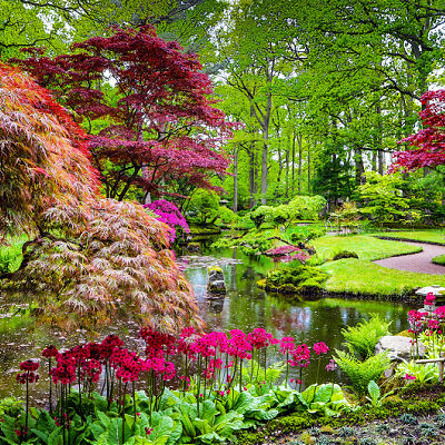 A Japanese Garden