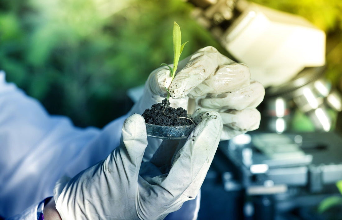 The Transformative Power of Horticulture Therapy