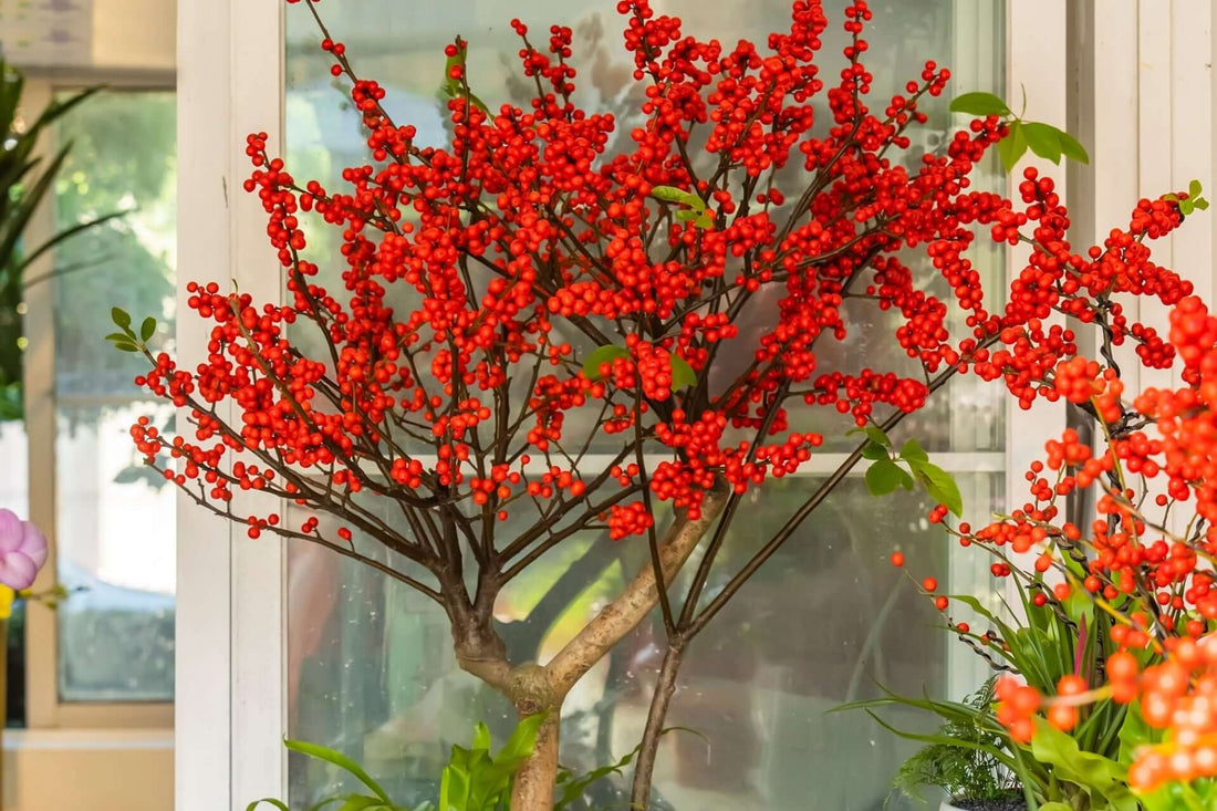 How to Do Container Planting for Year-Round Beauty