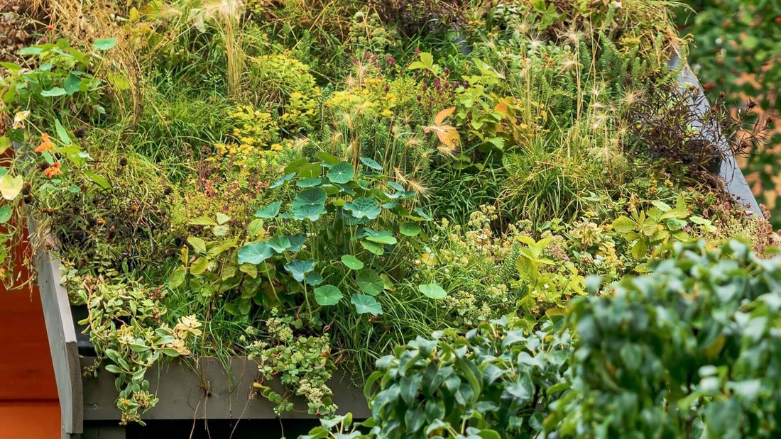 Reduce Cooling Costs