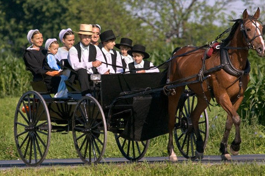 Largest Amish Population in the World: The Biggest Four Communities | Tennessee Wholesale Nursery