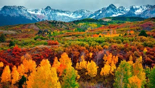 Four Fantastic Destinations To View Fall Foliage