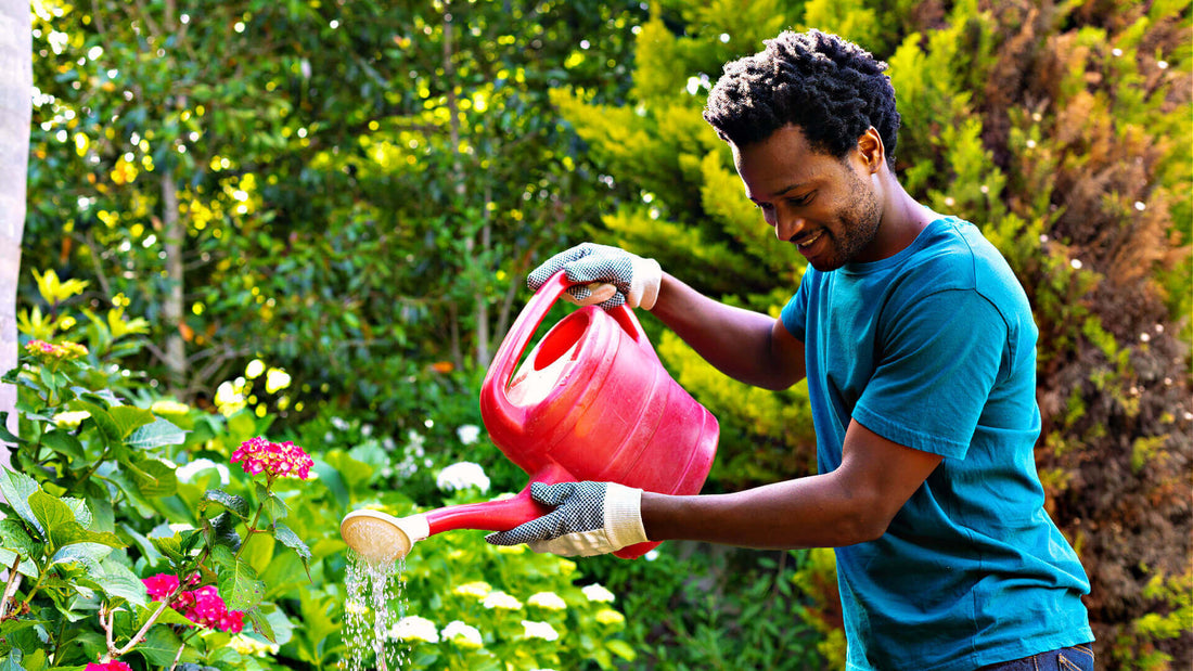 Irrigation Systems: Watering Efficiently