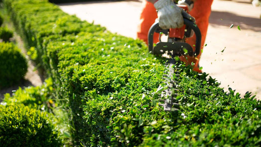 Hedge Trimmer
