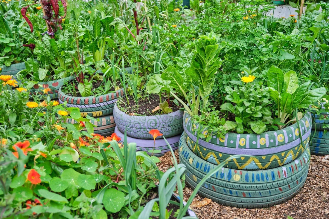 Revitalizing Urban Lots